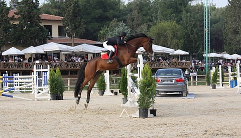 Kirjoittaja kilpailemassa Turkin Adanassa hevosella Taxis vuonna 2008, kun painoa oli 30 kiloa vähemmän.