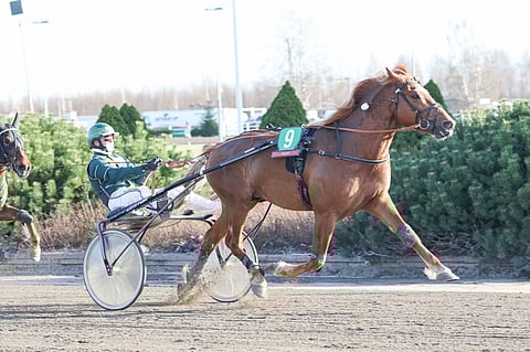 Kinderi loisti kilpaa auringon kanssa.