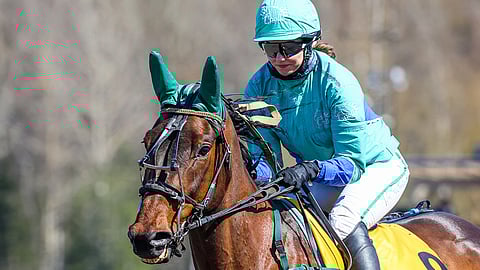 Milla Markkasella oli värikäs raviviikko.