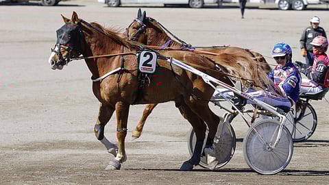 Landen Vinkka nauttii juostavasta kolmen kierroksen matkasta.