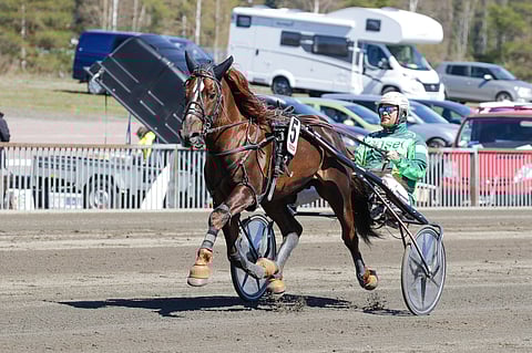 Virin Urho on kilpaillut koko uransa Markus Porokan valmennuksesta.