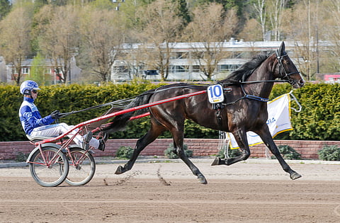 Ravit Solvalla
