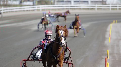 Ravipäiviä ajetaan ensi vuonna 21 vähemmän kuin vuonna 2025.