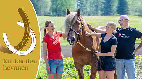 Tärkeät ihmiset Viulan Voiton ympärillä. Alli Vähäniitty ja Silla Mäkinen hoitavat, Petri Mäkinen valmentaa ja ajaa kilpaa. Yhteistyö toimii ja yhdistää perhettä.