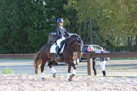 Kulta-ahon Kasimir ja Anna Kärkkäinen. 