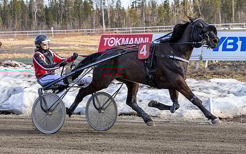 Eveliina Leppäsen ohjastama Nite Owl paljasti kykynsä.