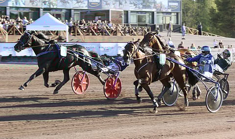 Crepe Match tuli kauden avauskisassa kovaa vauhtia maaliin saakka ja ohitti voittomatsissa Amazing Playerin.