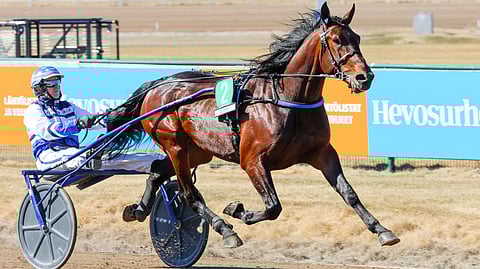 Arctic Crown hakee kauden avausvoittoa päätöskohteessa ideavihjeen varmana.