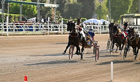 Capital Mail voittaa Lotterian.