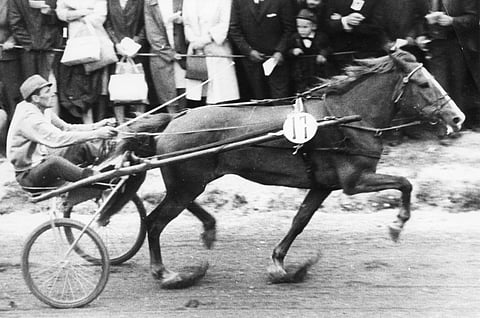 Lauri Kokko ja Helätin Kouvolassa vuonna 1964 voittamassa ensimmäistä kuningatarseppelettä. 