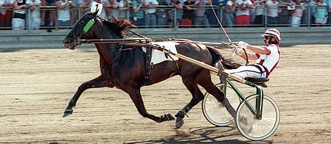 Mack Lobell, Elitloppet 1988.