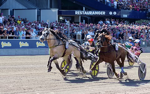 Elitkampen Solvalla
