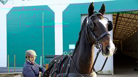 Talvikki Järvinen ja Danser T. 