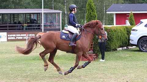 Ryminä on vuonna 2024 kantakirjattu ori, mutta jälkeläisten tekoon se ei ole vielä ryhtynyt. 