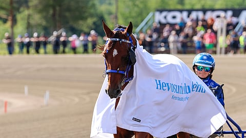 Condor Bar ja Henna Halme ravihevonen