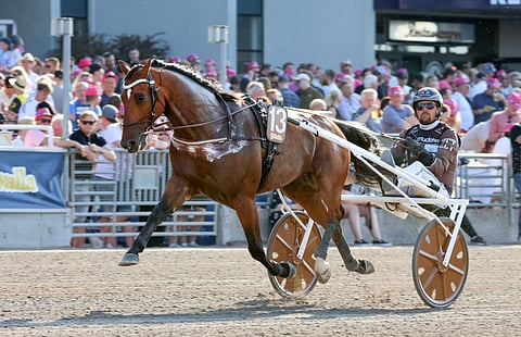 Ravihevonen Gamin Jaba Solvallassa