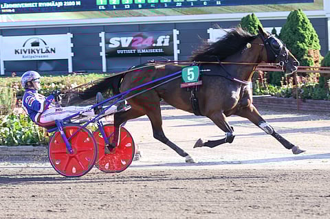 Olli Koivunen sai tyylitellä Porin loppusuoralla Goodygoodytwoshoesin jätettyä muut helposti taakseen.