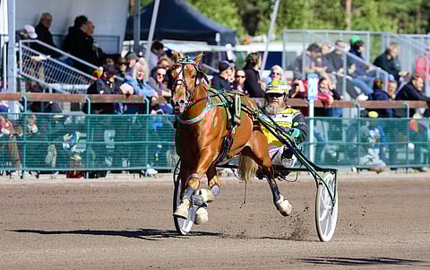 Suomenhevosori Vilkkeen Velmu rattaillaan Teemu Okkolin.