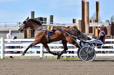 Lämminveriruuna MAS Champ rattaillaan Santtu Raitala