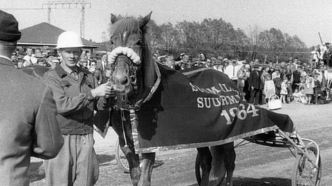 Vuoden 1964 suurmestari Topi ja Reino Hinkkanen.