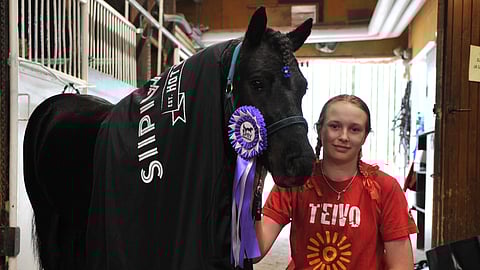 Hippu Sillanpää ja Nordanåkers Mio