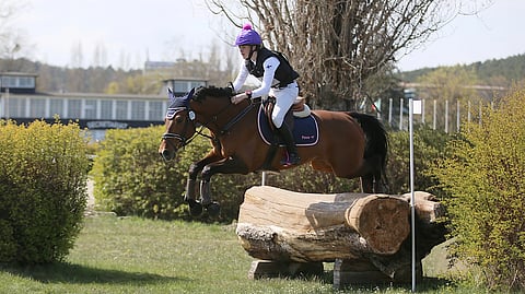 Anselmi Laiho ja Krogårdens Tenor ovat kisanneet jo monta vuotta yhdessä. 