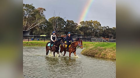 Treenin jälkeen kahluualtaassa kävelemässä Andrew Bobbinilla Lake Fyansissa, Ada kuvassa vasemmalla.
