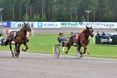 Henri Bollströmin ohjastama ravihevonen Caru