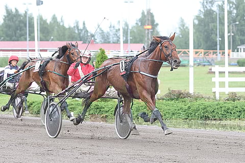 Toisen kerran Night Sky Eaglea ohjastanut Elina Leinonen sai myös tuulettaa toistamiseen tamman voiton merkiksi.