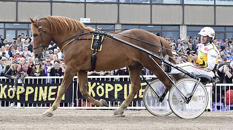 Kaikkien aikojen suomenhevonen Viesker ja Kari Ahokas
