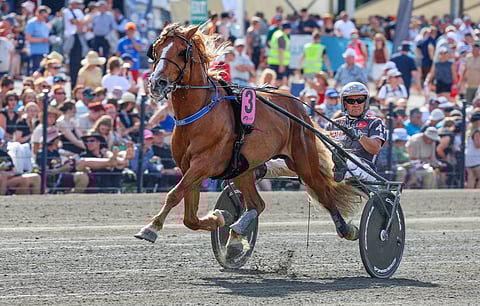 H.V. Tuuri sijoittui viime kesänä kuninkuuskilpailussa Antti Teivaisen ohjastamana viidenneksi.