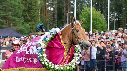 Hallitseva ravikuningatar Suven Sametti tähyää Oulusta jo neljättä titteliään.