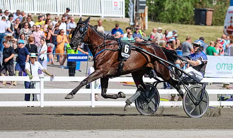 Kuvassa Ville Tonttilan luotsaama An-Dorra on Reino Palomäelle tärkeä hevonen.