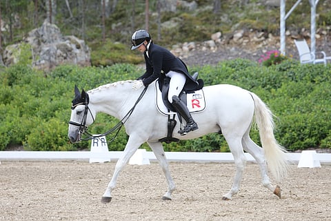 Se oli siinä, Damasco Caniceiran kilpaura. Viimeiseksi saavutukseksi ennen eläkelaitumia jäi juniorikulta. 