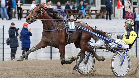 Ravihevonen God Hyperion rattaillaan Henri Bollström