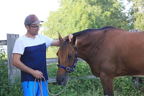 Kotioloissa rennommin. Pierre Belloche ja Horsy Dream. 