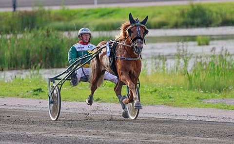 Metsärinteen Pommi kiirehti Derbyn loppukilpailun kuumaksi nimeksi.