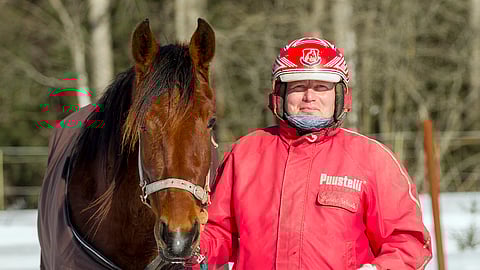 Shot On Goal on kuulunut Robert Wesslinin tallin kilpahevosiin useamman kauden. Kuva vuodelta 2018.