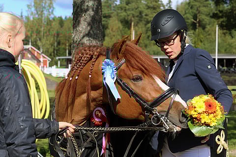 Vilma Leppäkangas ja Paletin Liekki kasvattajakisoissa. 