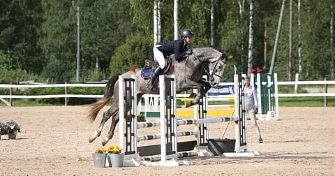 Nelivuotias FWB Södergårds Levitation ja Sara Kortesoja laatuarvosteluradalla. 