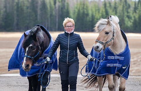 MTK-hevosverkoston puheenjohtaja Helena Halinen