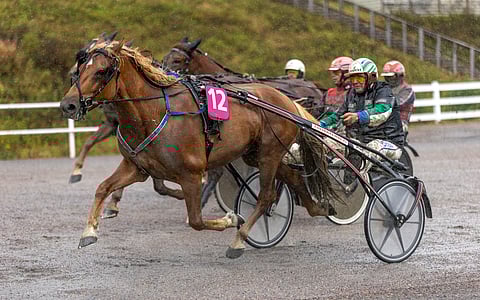 Enon Vilppi ja Markku Hietanen juhlivat Mäntyvaarassa.