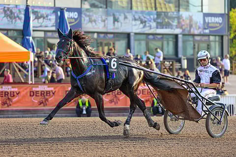 Vincent Vici on yksi Derbyn jokerikorteista.