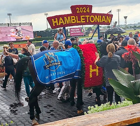 Karl voitti  Hambon. Sen veli Aspen on myynnissä Lexingtonissa.