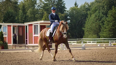 Ypäjä Paavo malttoi radalla, vaikka se ajoittain olikin haasteellista. 