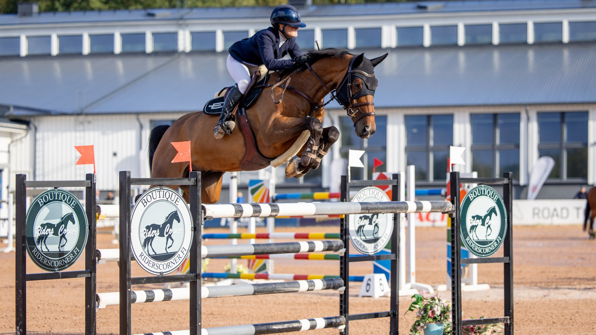 Alina Salo ja Da Vinci