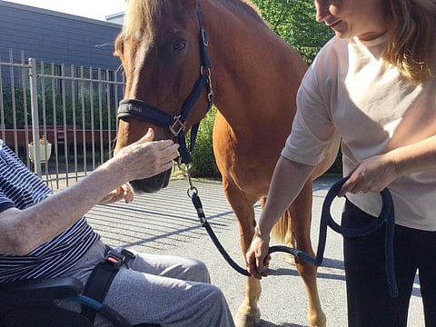 "Saa ruveta rapsuttaan."