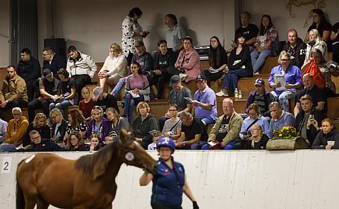 Ypäjällä huudetaan hevosia jälleen syyskuussa.