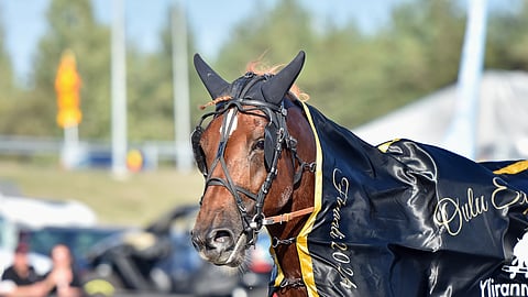 Harri Sulku on Carun valmentaja, Ilona Sulku hoitaja.