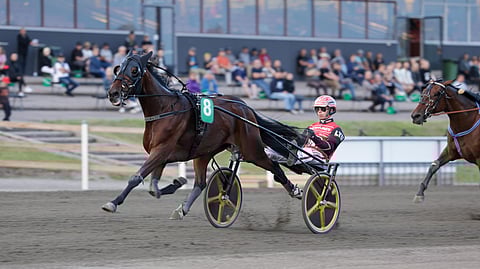 Derby-voittaja Lightning Stride eteni loppuvedollaan hallittuun karsintavoittoon.
